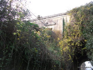 lazzo Riggio Carcaci-05-01-2016 09-56-46